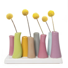 Load image into Gallery viewer, Pooley vase-back in stock with new colors!