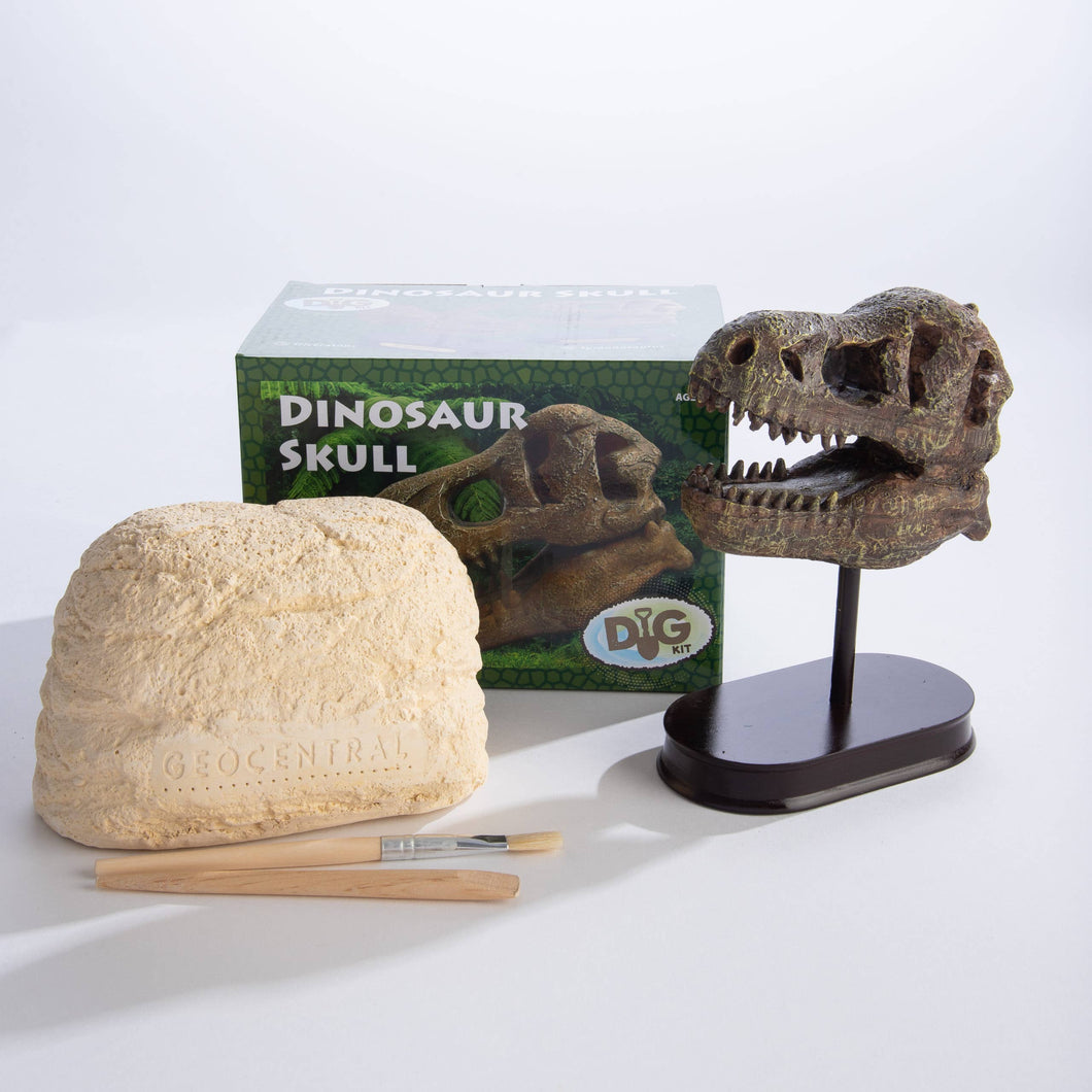 Excavation Kit: Dinosaur Skull
