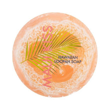 Load image into Gallery viewer, Loofah Soaps-assorted scents